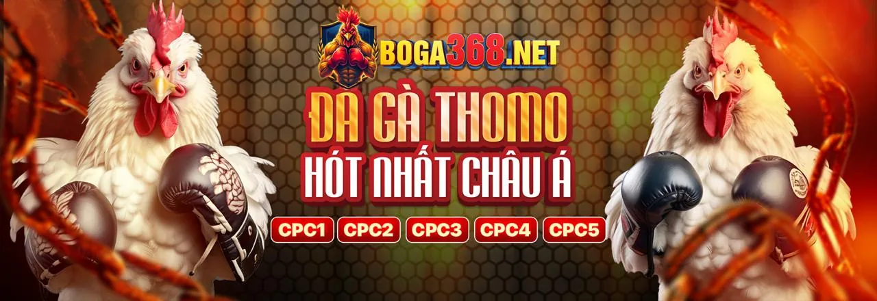 Đấu trường đá gà kịch tính tại gh88 Nổ Hũ